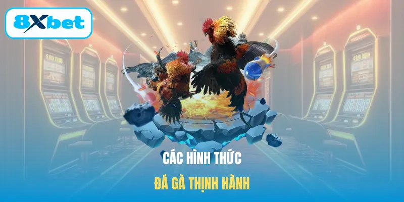 Các hình thức đá gà thịnh hành