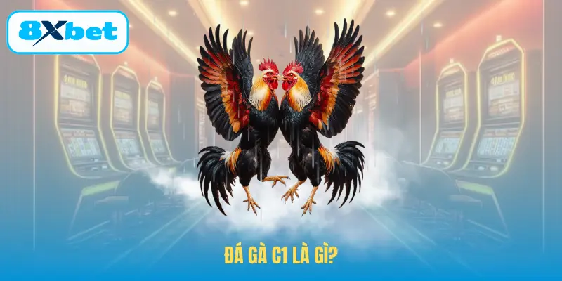 Đá gà C1 là gì?