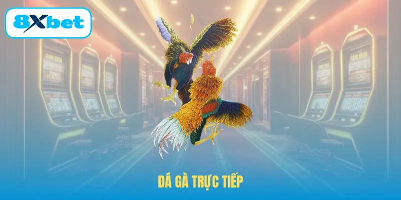 Đá Gà Trực Tiếp – Trải Nghiệm Theo Dõi Thực Tế Ở 8XBET