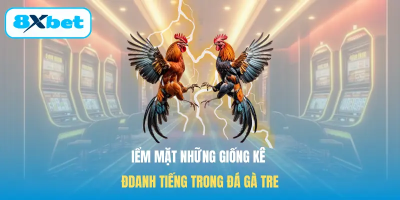 Điểm mặt những giống kê danh tiếng trong Đá gà tre
