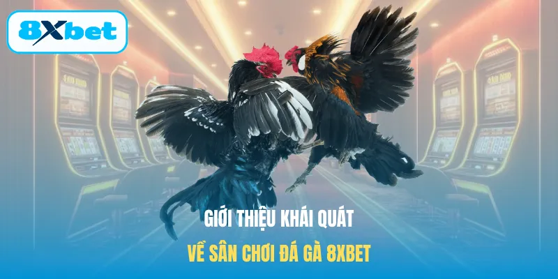 Giới thiệu khái quát về sân chơi đá gà 8XBET 