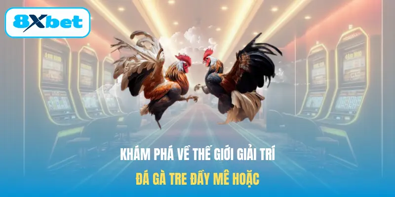 Khám phá về thế giới giải trí Đá gà tre đầy mê hoặc