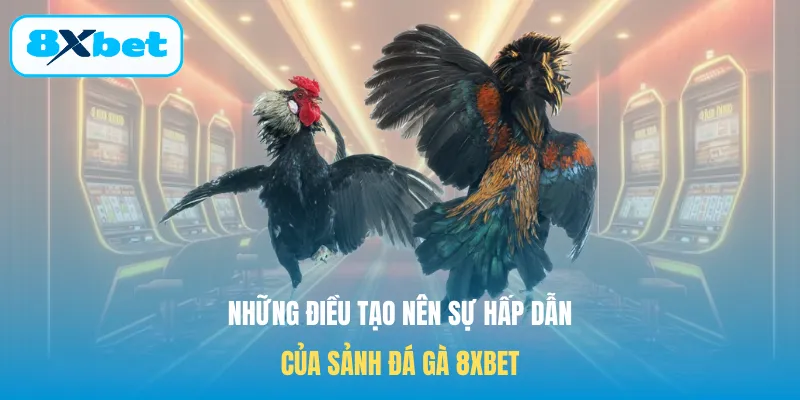 Những điều tạo nên sự hấp dẫn của sảnh đá gà 8XBET