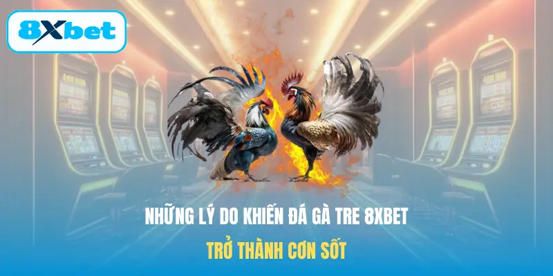Những lý do khiến Đá gà tre 8XBET trở thành cơn sốt