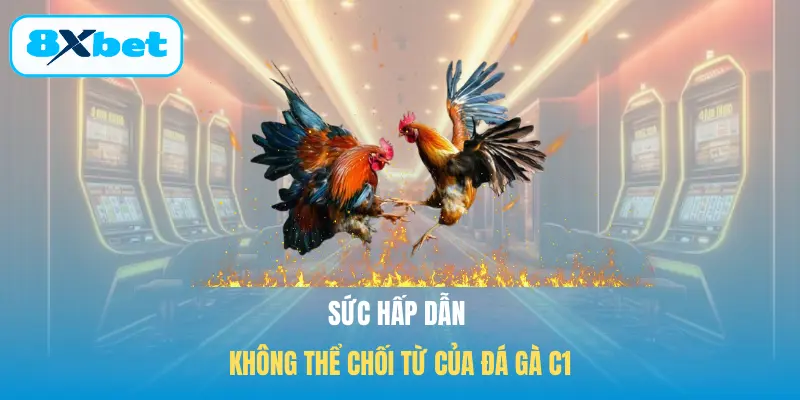 Sức hấp dẫn không thể chối từ của Đá gà C1