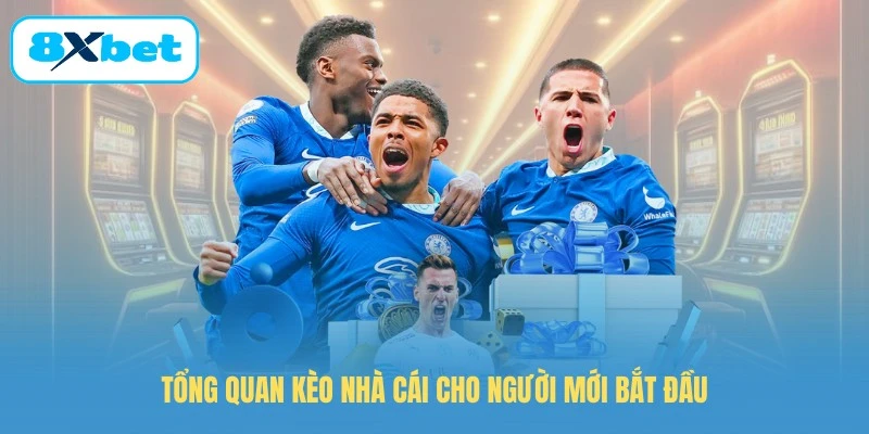 Tổng quan kèo nhà cái cho người mới bắt đầu